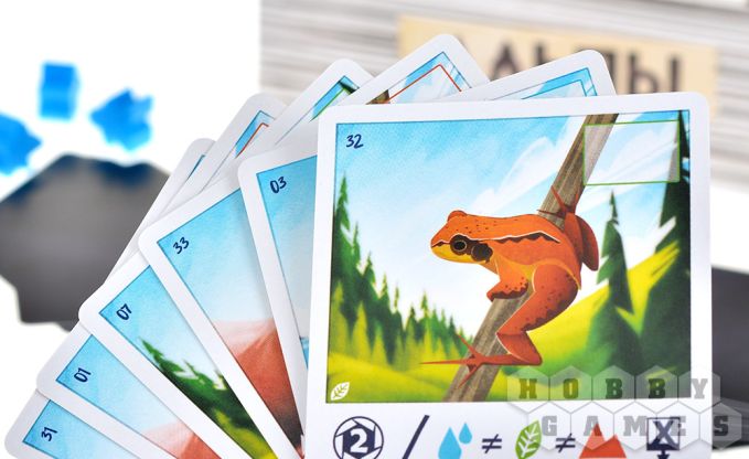 Альпы фото 6