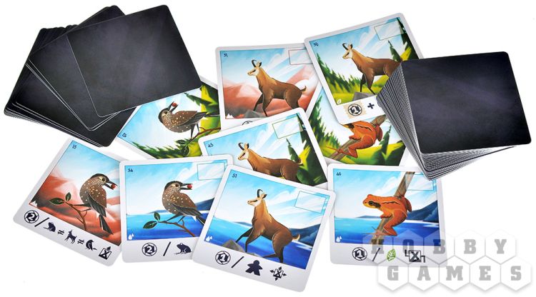 Альпы фото 10