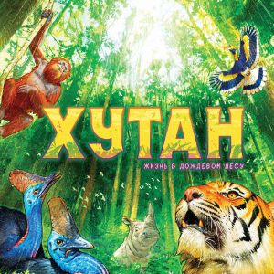 Как превратить лес в цветущий рай?