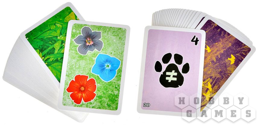 Хутан фото 9