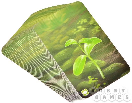 Смешанный лес: На опушке фото 5