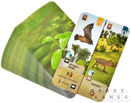 Смешанный лес: На опушке фото 7