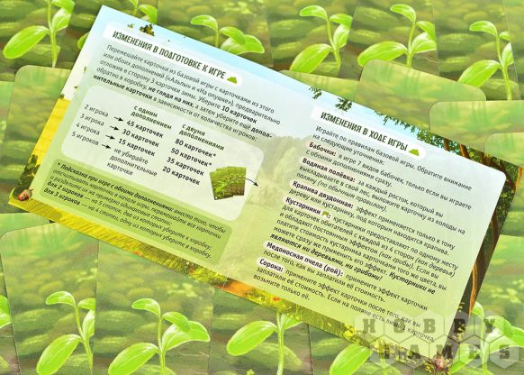 Смешанный лес: На опушке фото 8