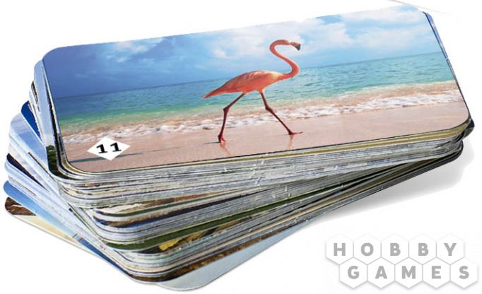 Мемо "Пернатый Мир" фото 2