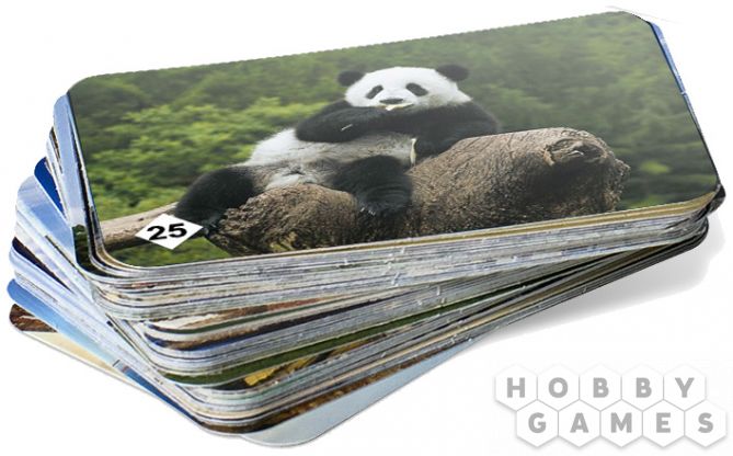 Мемо "Удивительные животные" фото 2