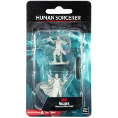 D&D Nolzur's Marvelous Miniatures: Human Sorcerer (мужчина)